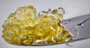 concentrate 300x160 1